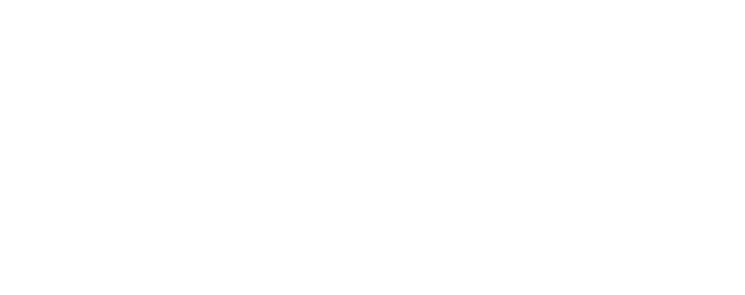 Elevare Career Institute logo